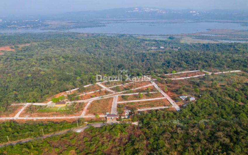 Exclusive Plots for sale on Kadamba Plateau